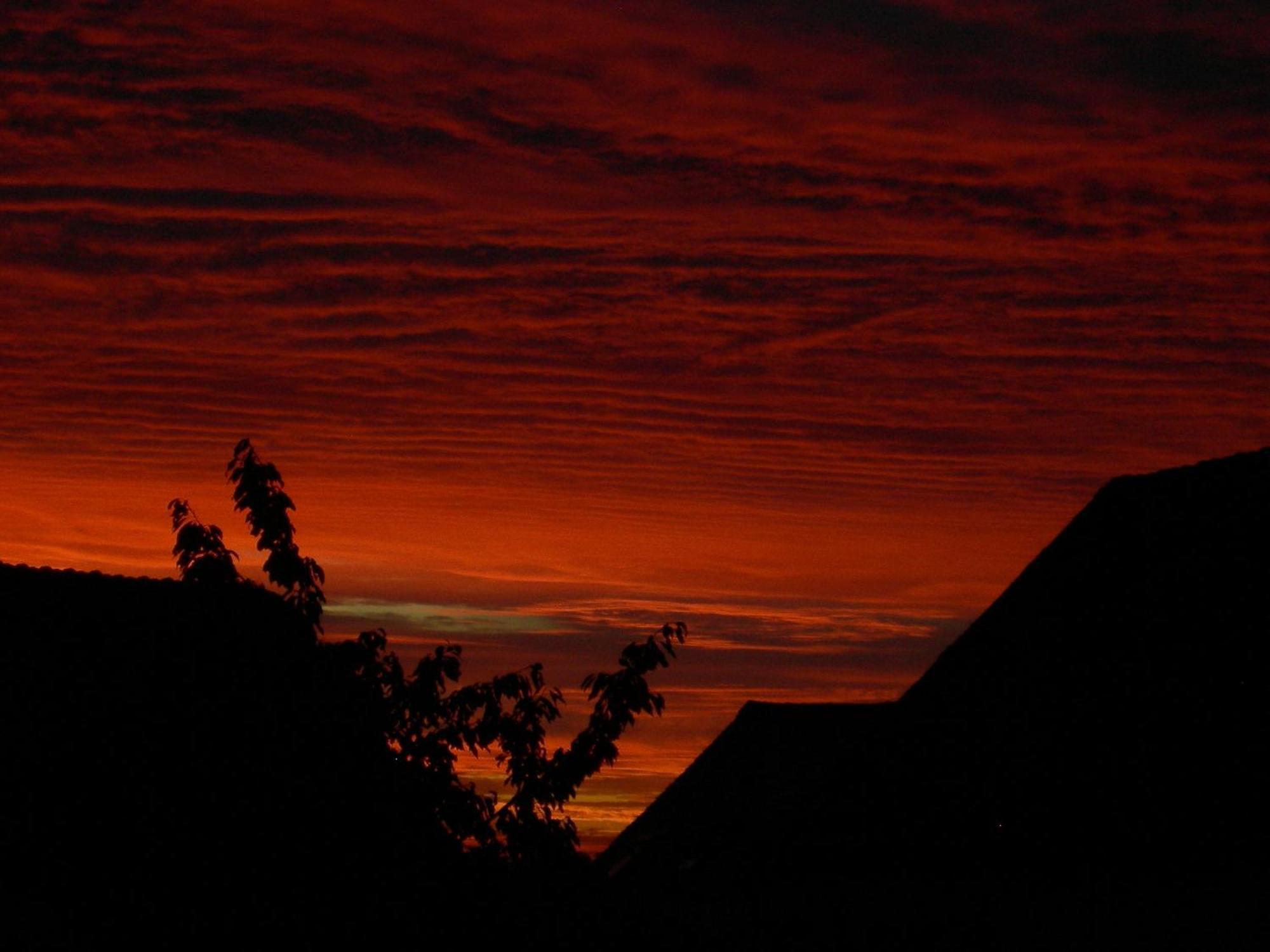 La Ferme Rose Bed and Breakfast Cergy Buitenkant foto